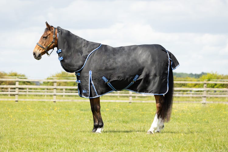 StormX Empra Extra 200g Turnout Rug with Detachable Neck image 1